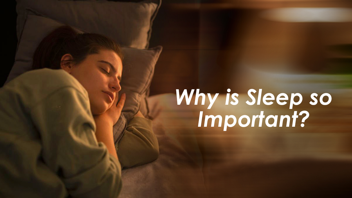 Why is Sleep so Important?